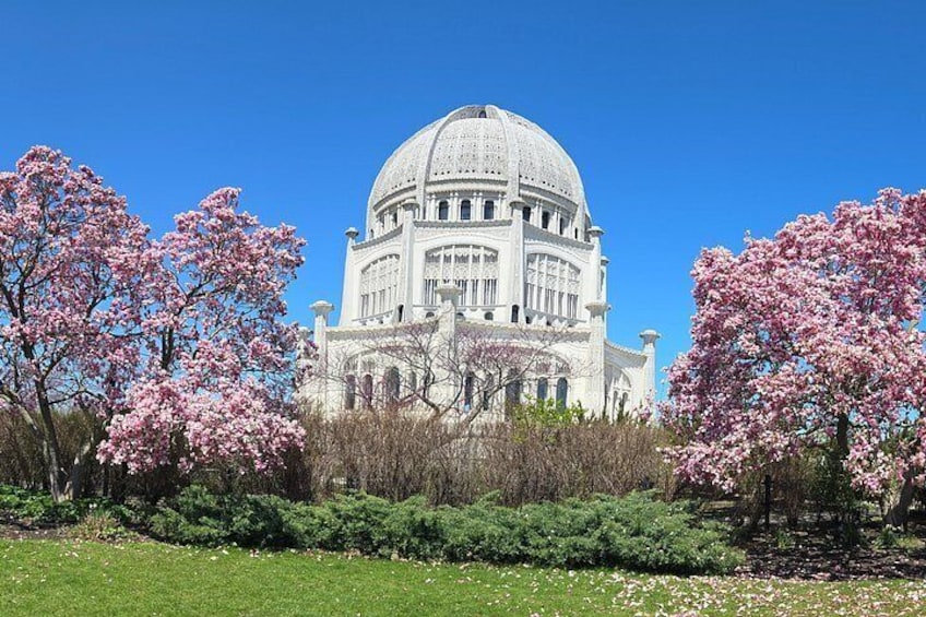 Chicago Suburbs Hidden Gems: Small-Group Exploration Tour 5
