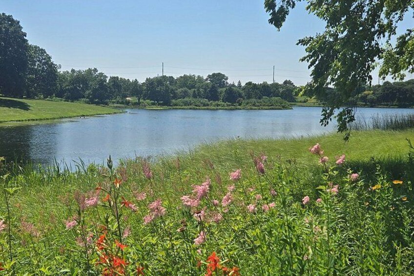 A lake surrounded by greenery and flowers. 4