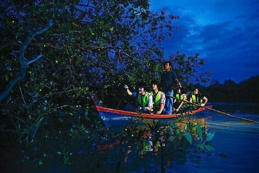Mystical Nights: Fireflies & Blue Tears Adventure 2
