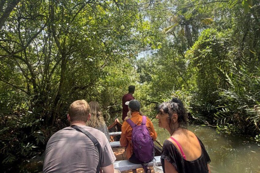 Un grupo de personas en un bote en un área boscosa con un río. 2