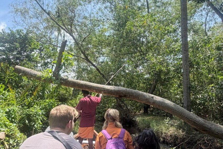 Un grupo de personas en una zona boscosa, con una persona escalando un árbol caído. 5