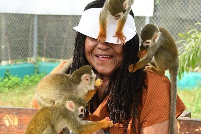 Monkey Mania Puerto Plata 5