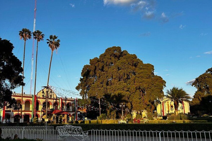 A park with a large tree, a Ferris wheel, and a building with arches. 3