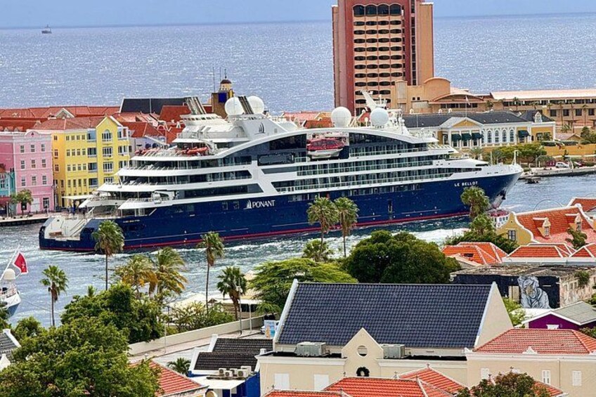 Un gran crucero amarrado cerca de edificios coloridos y palmeras. 3
