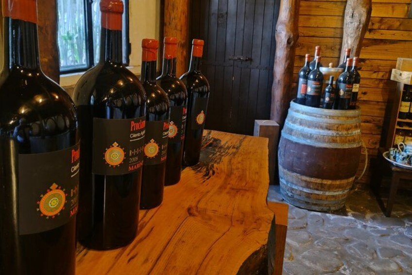 Paestum Temples Mozzarella Farm Wine tasting from Salerno 4