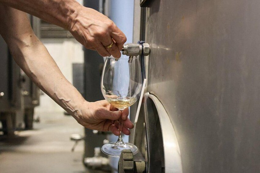 Lisbon: Évora Winery Tour, Bones Chapel & Tastings - Small Group 5