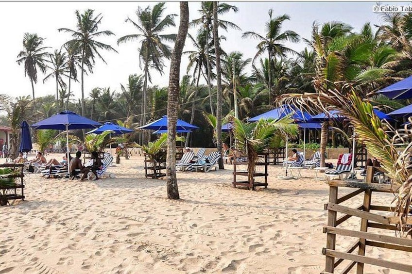 Une plage bordée de palmiers, avec des parasols bleus et des chaises longues. 2