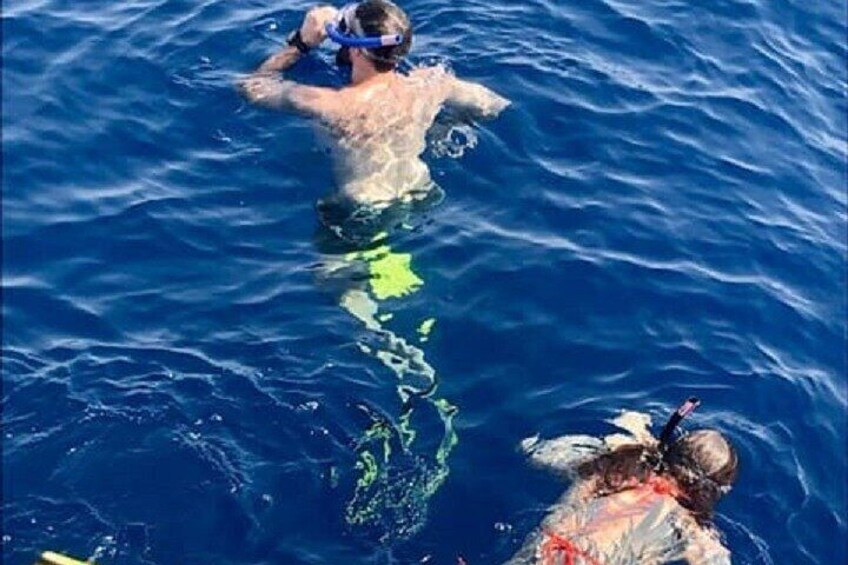 Dos personas nadando en el océano. 4