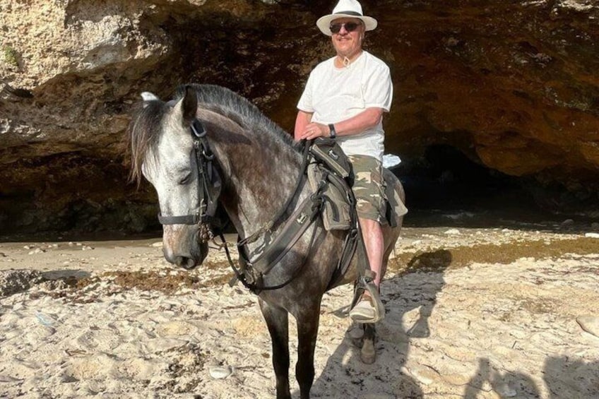 Horseback Riding Wariruri Beach Tour in Aruba 2