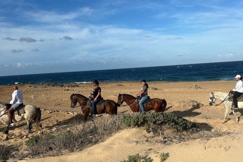 Horseback Riding Wariruri Beach Tour in Aruba 5