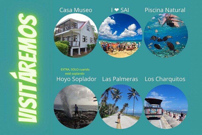 A museum, a natural pool, palm trees, and a lifeguard tower. 2