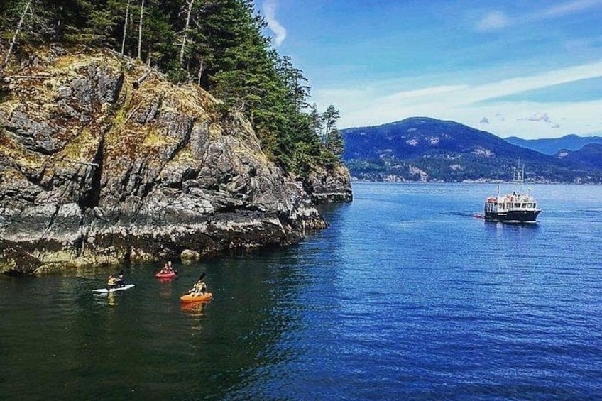 Kayakers on a calm river, a boat in the distance, and a rocky shoreline with trees. 1