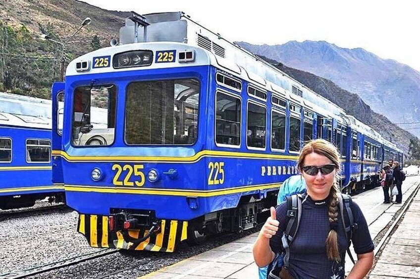 Un treno con il numero 225 sulla facciata, una persona che fa il segno dell'ok, e montagne sullo sfondo. 4