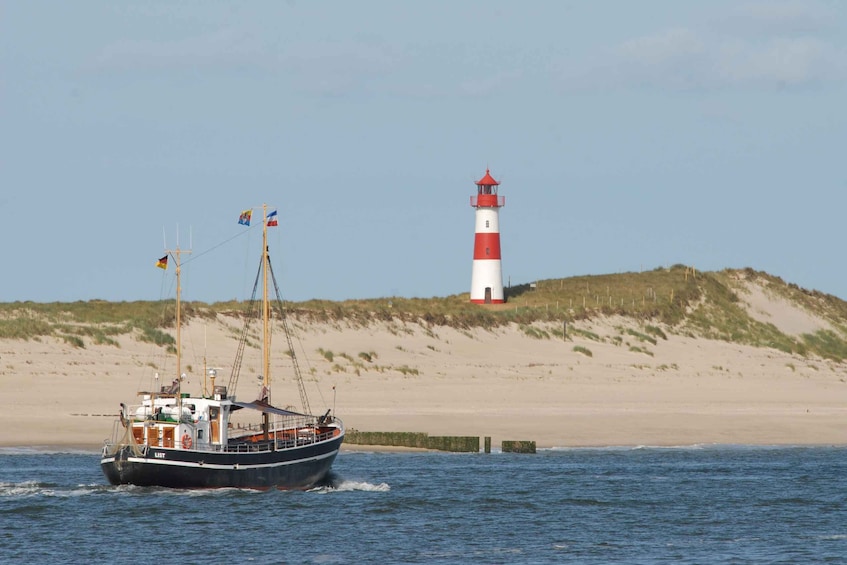 Picture 6 for Activity Von List: Bootsfahrt zum Makrelenfischen rund um Sylt 2