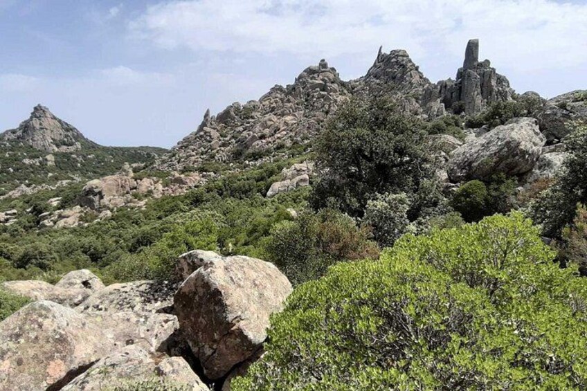 Cagliari Trekking in Sette Fratelli Park 3