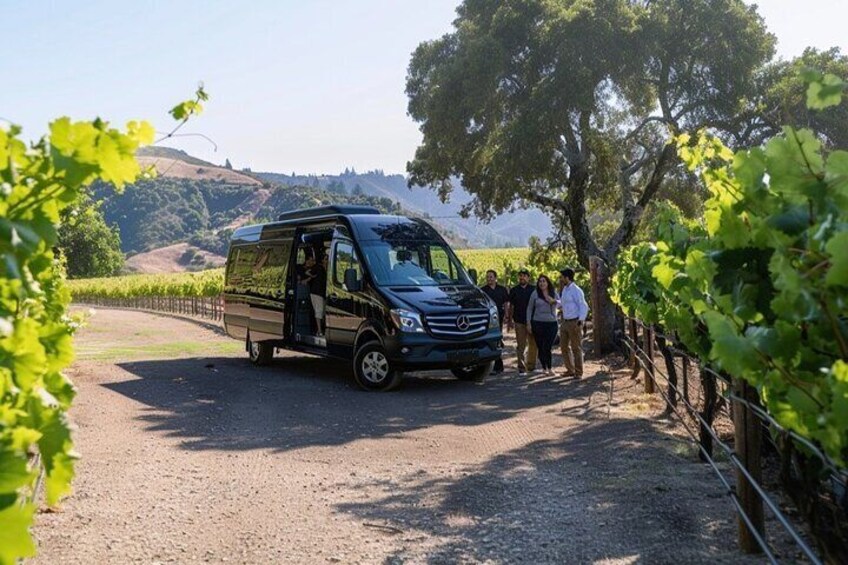 A black van parked on a gravel path in a vineyard with people standing nearby. 3