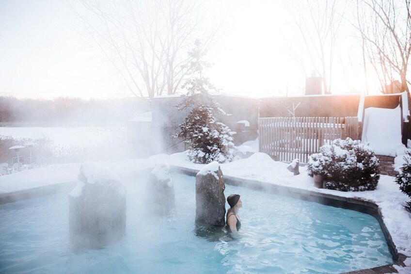 Un bain à remous entouré de plantes recouvertes de neige et d’une clôture en bois. 3