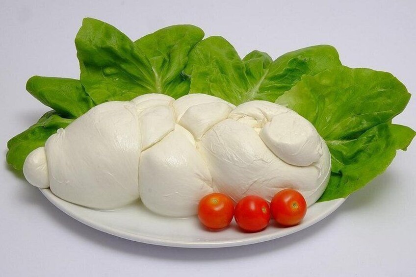 From Castellabate Paestum Temples Bufala Mozzarella wine tasting 3