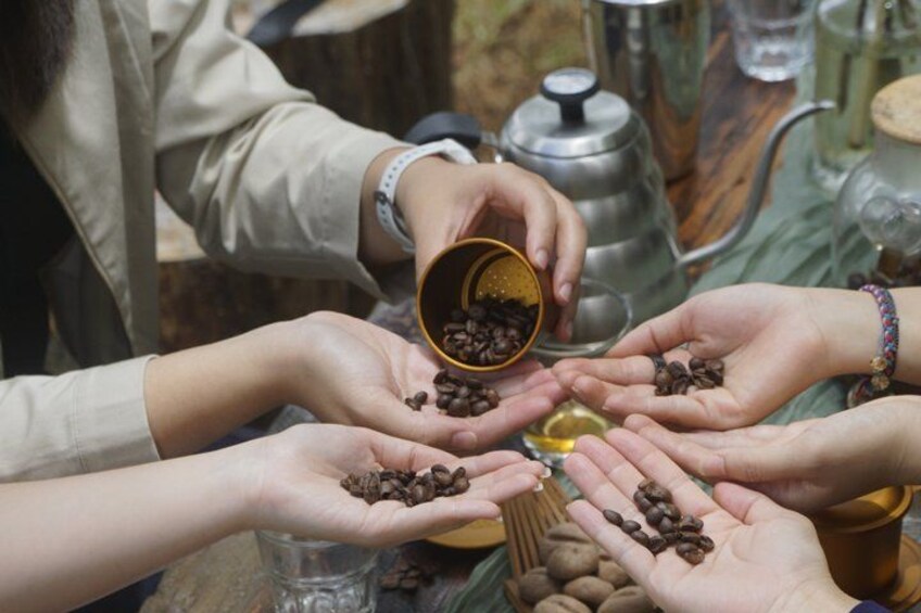 People sharing coffee beans. 2