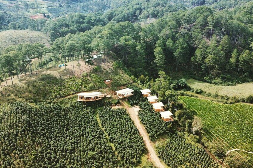 Coffee Farm Tour with Roasting & Tasting Workshop - Da Lat 2