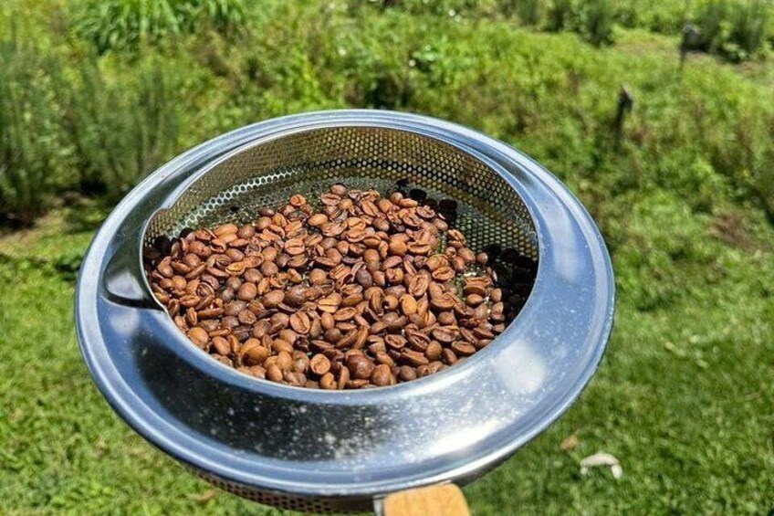 Coffee Farm Tour with Roasting & Tasting Workshop - Da Lat 2