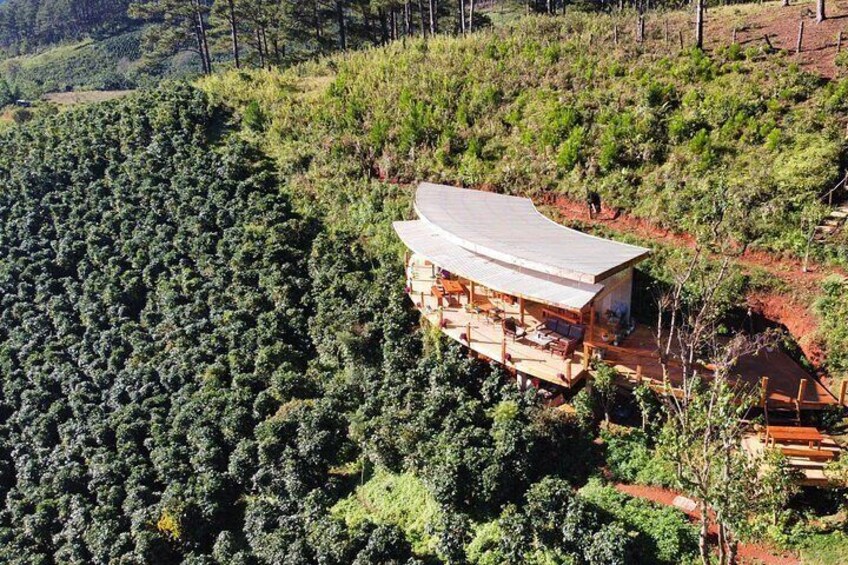 Coffee Farm Tour with Roasting & Tasting Workshop - Da Lat 3