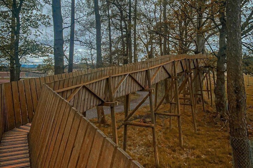 A wooden bridge in a forested area. 4