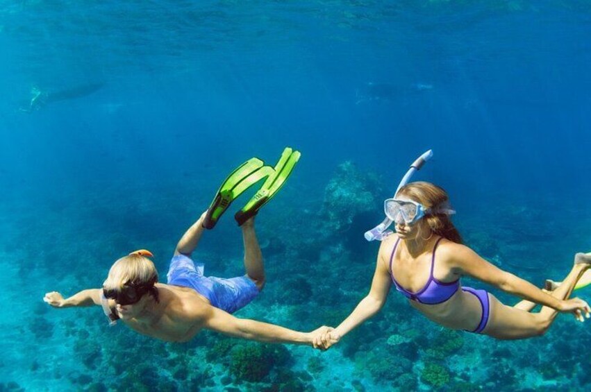 Two people snorkeling underwater with fins. 1