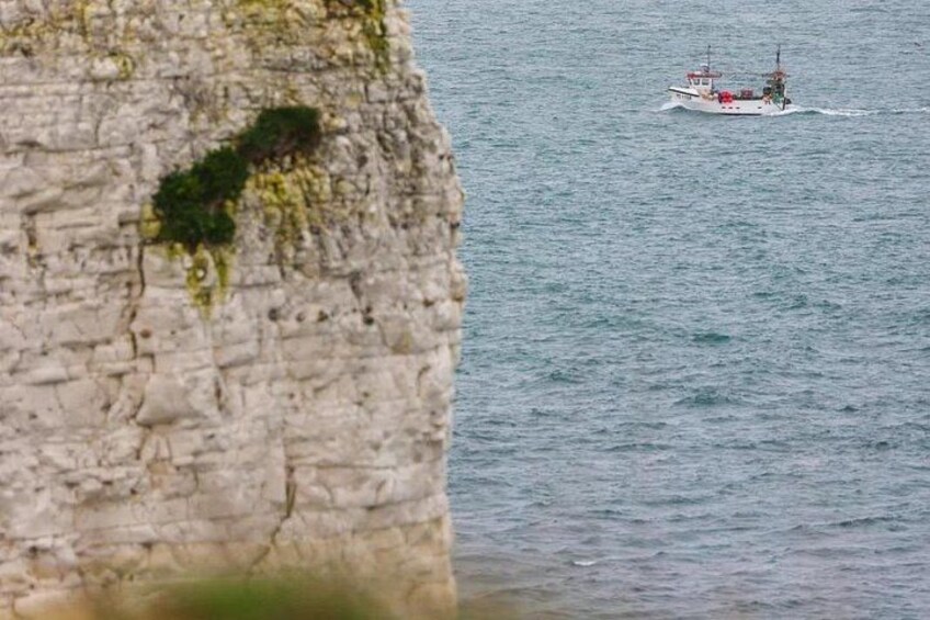 Portland Shore Excursion to Jurassic Coast Highlights 3