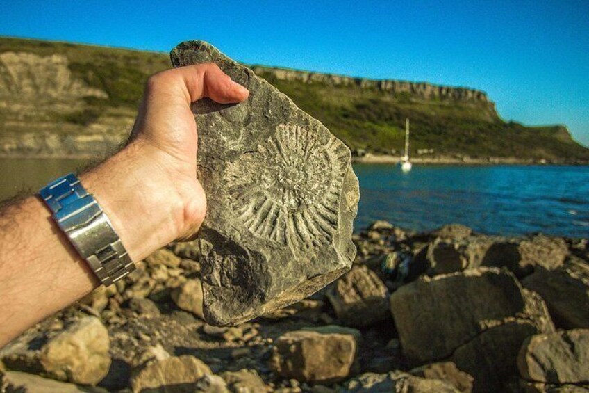 A hand holding a fossil with a coastal landscape in the background. 2