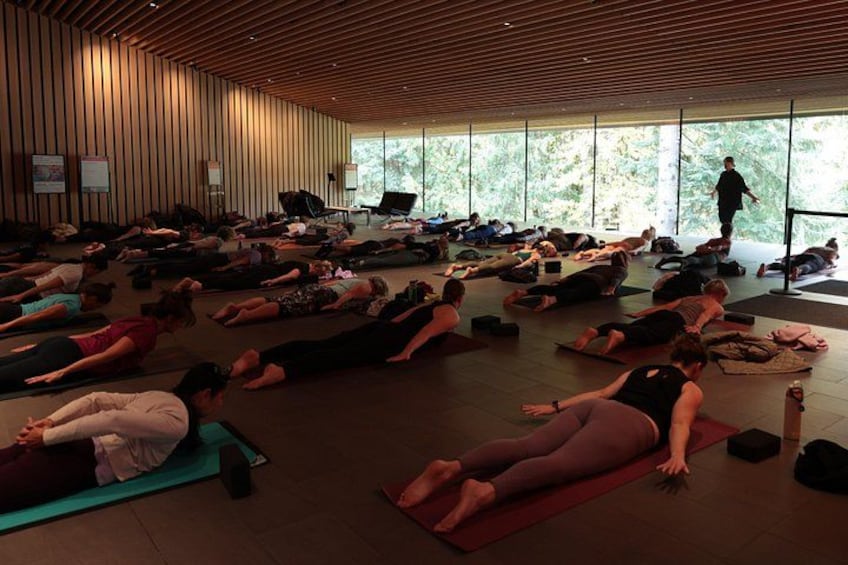En grupp människor i en yogaklass, liggande på yogamattor i ett rymligt rum med stora fönster. 2