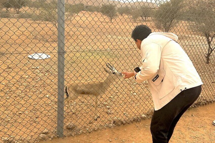 A person playing cricket in a fenced area. 5