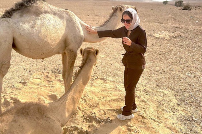 A person interacting with a camel in a desert environment. 2
