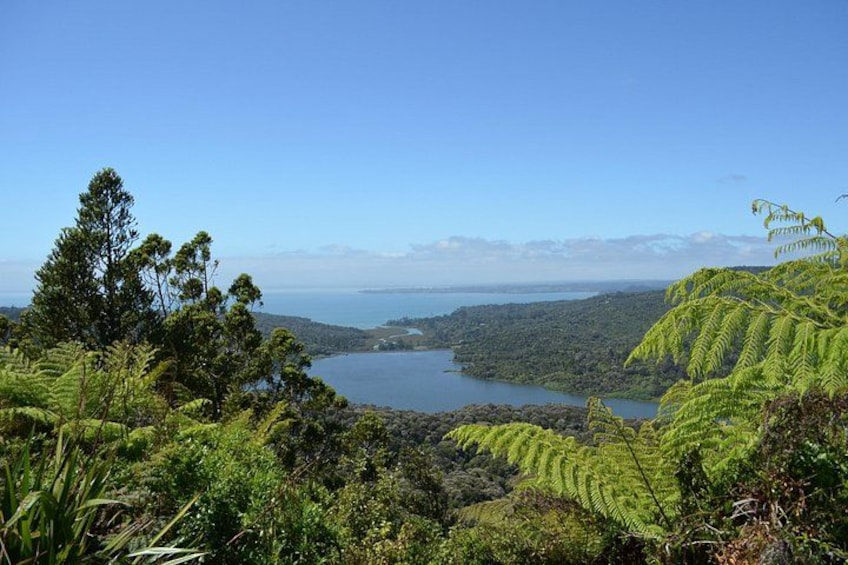 Auckland Highlights Full Day Guided Tour 5