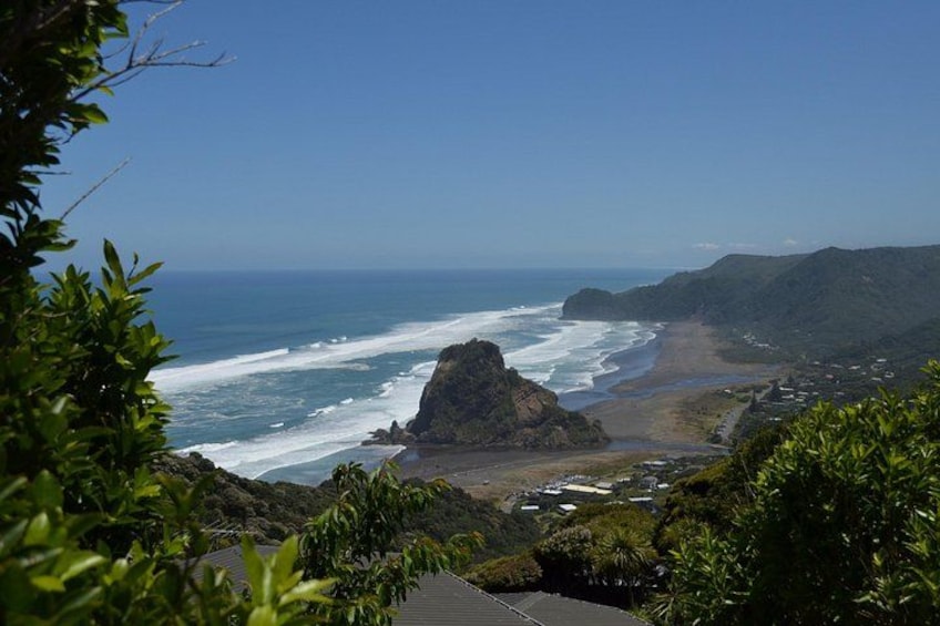 Auckland Highlights Full Day Guided Tour 3