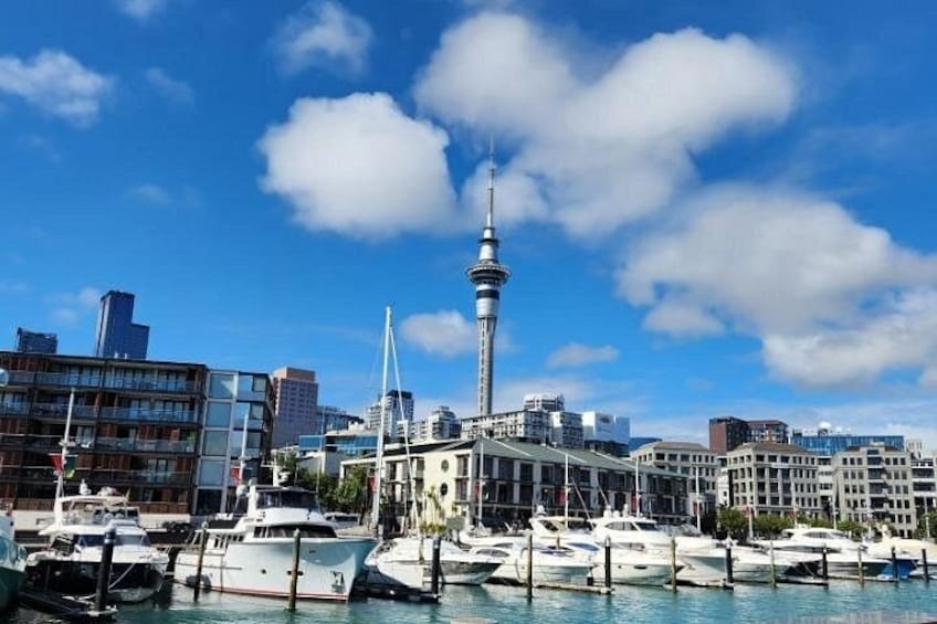 Auckland Highlights Full Day Guided Tour 1
