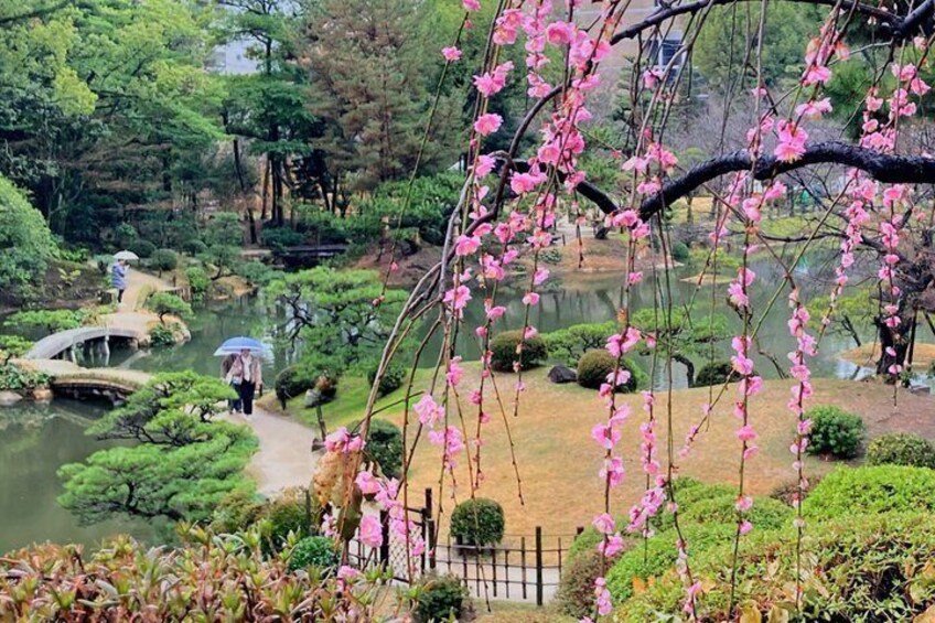 Hiroshima City Center Pickup : Best Highlights by Private Car 2