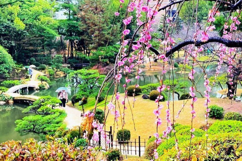 Hiroshima City Center Pickup : Best Highlights by Private Car 2