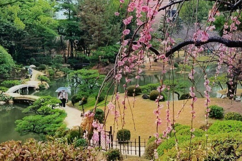 Hiroshima City Center Pickup : Best Highlights by Private Car 1