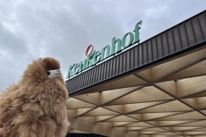 Un animale soffice davanti a un edificio con un cartello che riporta la scritta 'Keukenhof'. 3