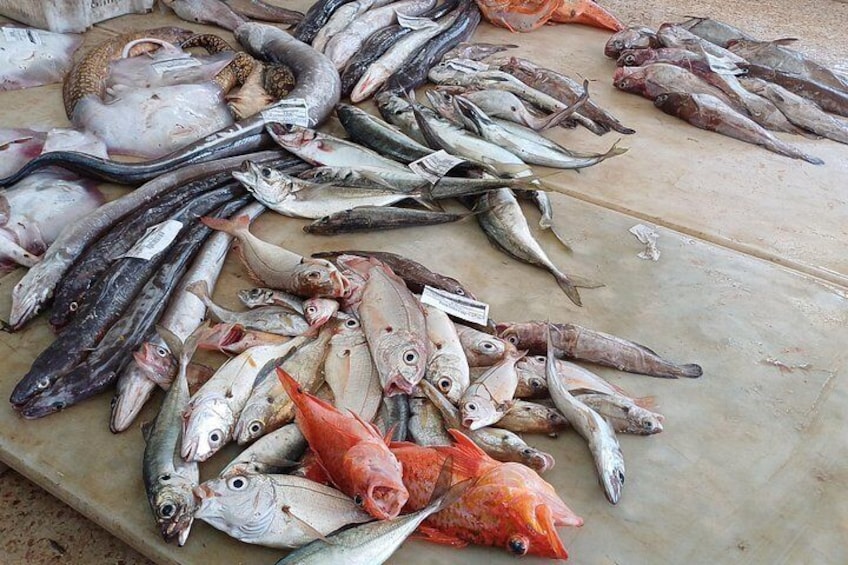Fish Market - Imesouane 5
