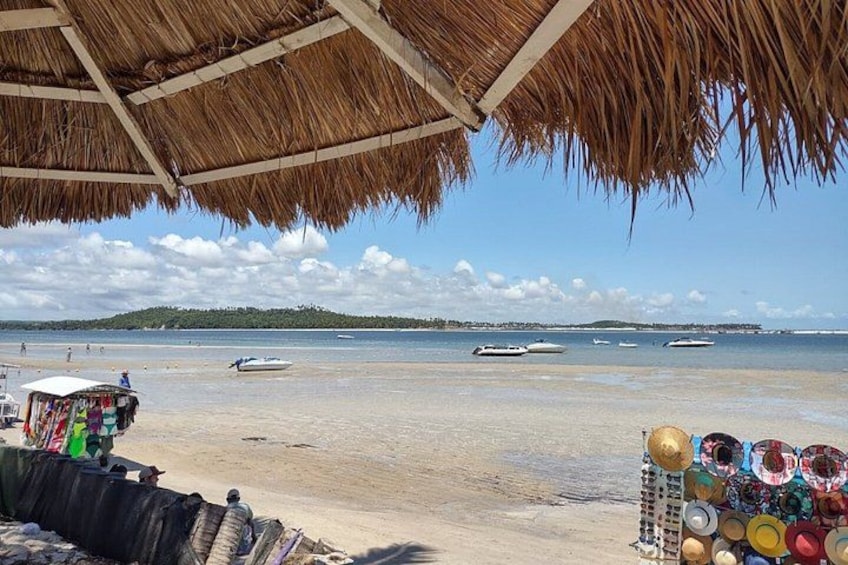 Tour Praia dos Carneiros with exit Porto de Galinhas 5