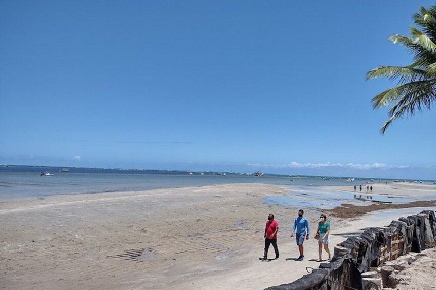 Tour Praia dos Carneiros with exit Porto de Galinhas 3