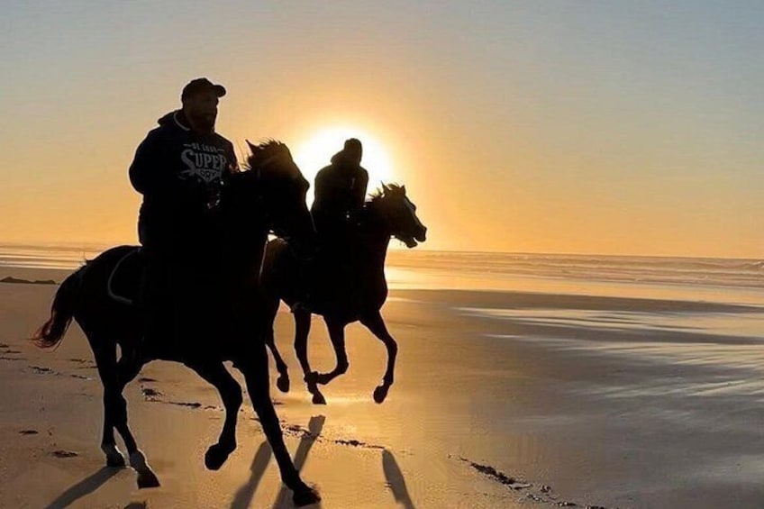 Casablanca Sunset Fun Horseback Ride on the Beach 5