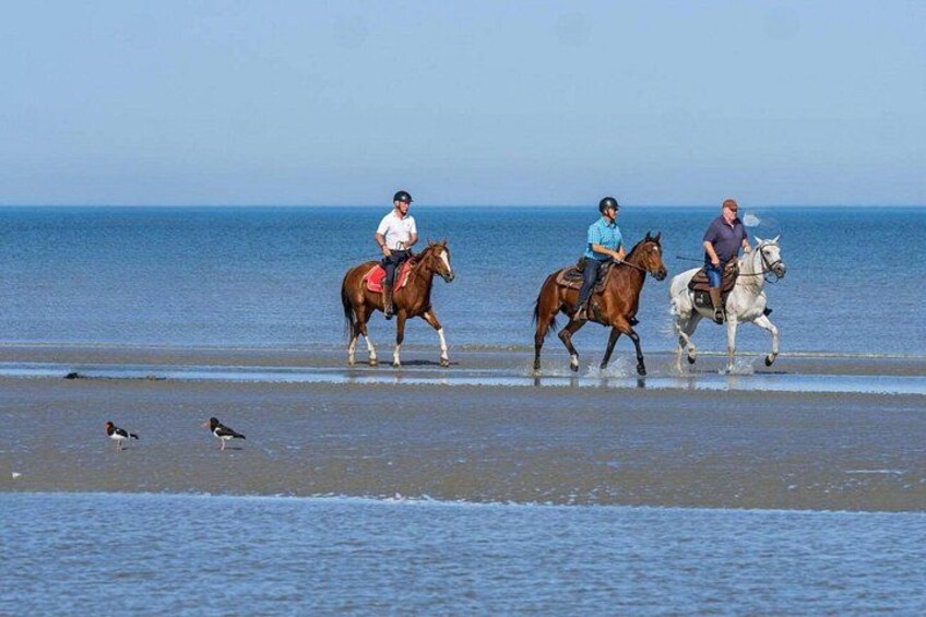 Casablanca Sunset Fun Horseback Ride on the Beach 2
