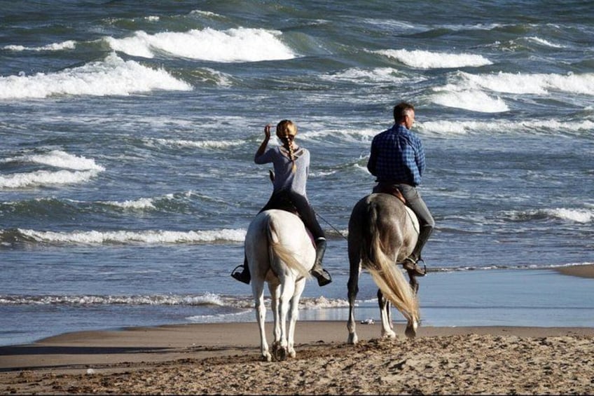 Casablanca Sunset Fun Horseback Ride on the Beach 5