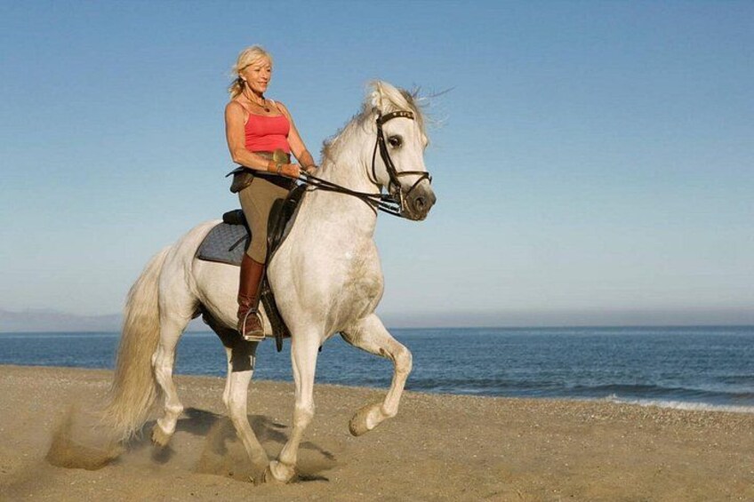 Casablanca Sunset Fun Horseback Ride on the Beach 3