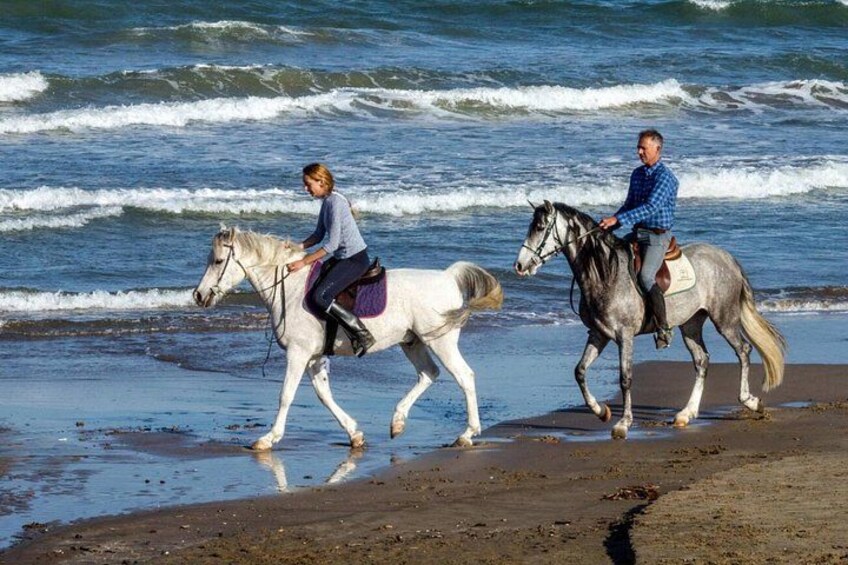 Casablanca Sunset Fun Horseback Ride on the Beach 4