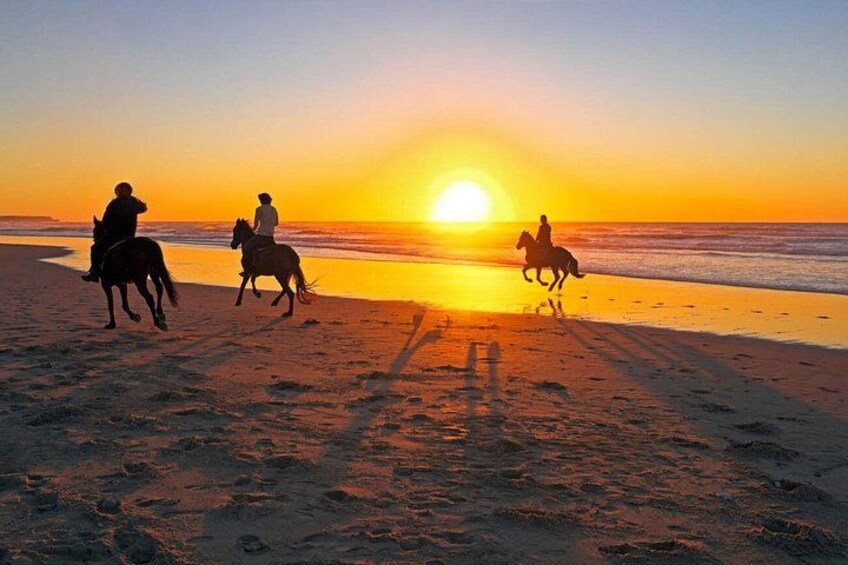 Casablanca Sunset Fun Horseback Ride on the Beach 5