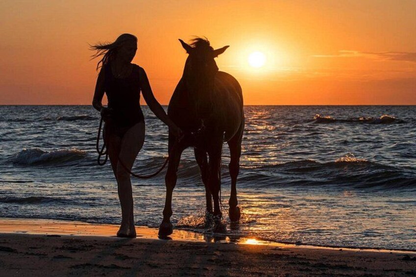 Casablanca Sunset Fun Horseback Ride on the Beach 2